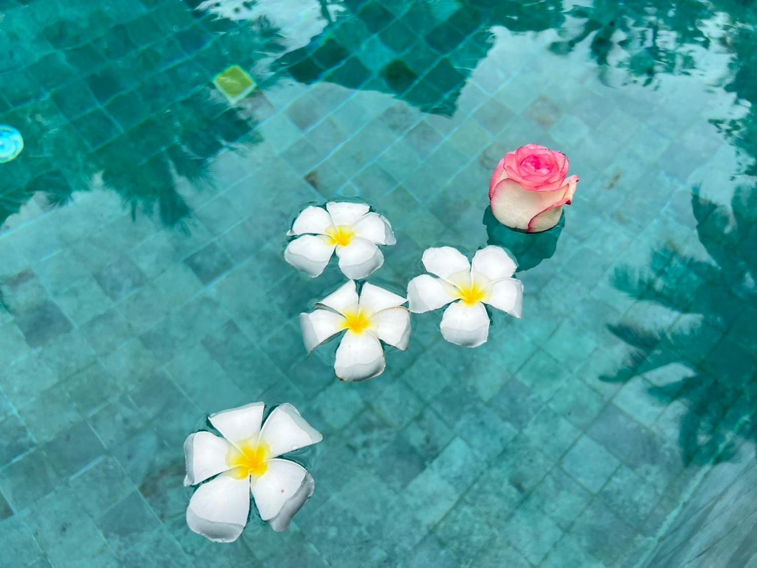 Chill Lay Resort Donsak Don Sak Екстер'єр фото